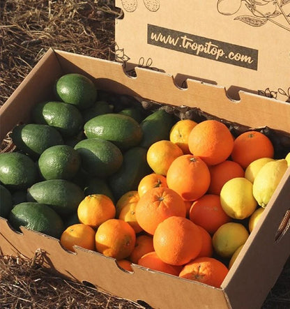 Pack 9kg- Aguacate Bacon (4kg), Mandarinas (2kg), Naranjas (2kg) Y Limones (1kg)_2