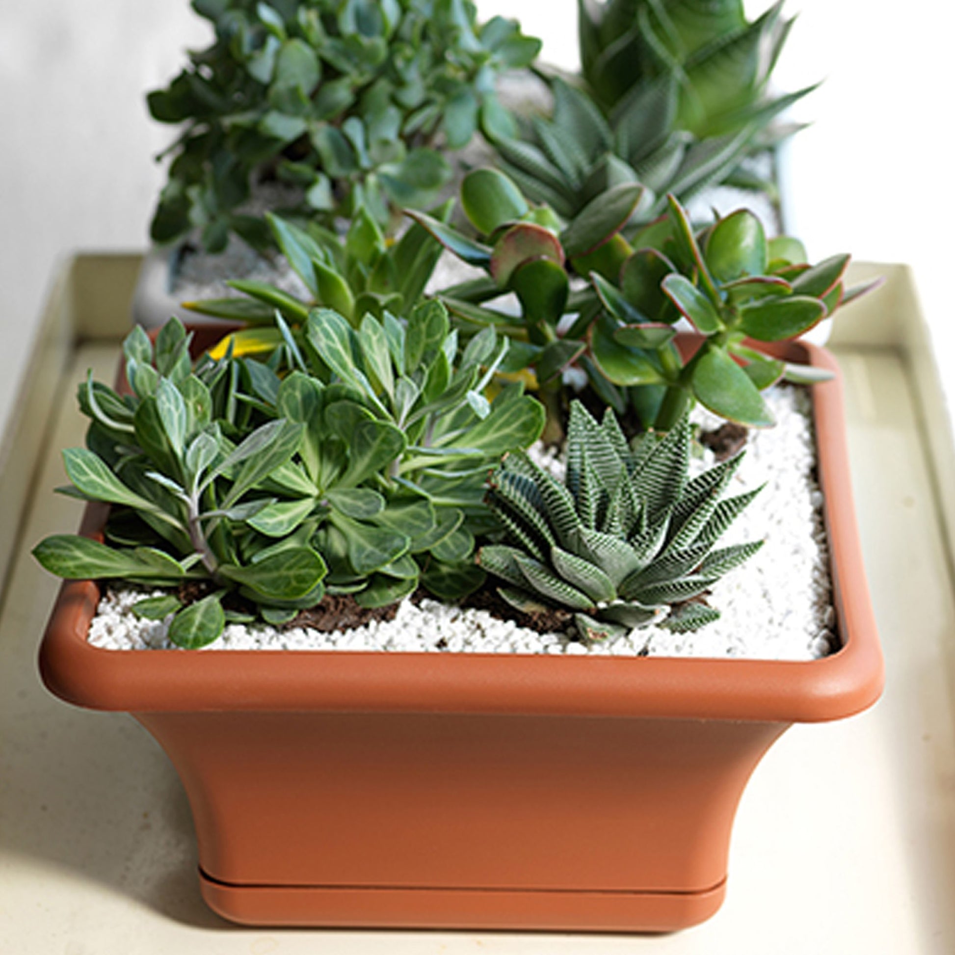 Maceta Cuadrada 24 Cm Con Platillo Gris_3