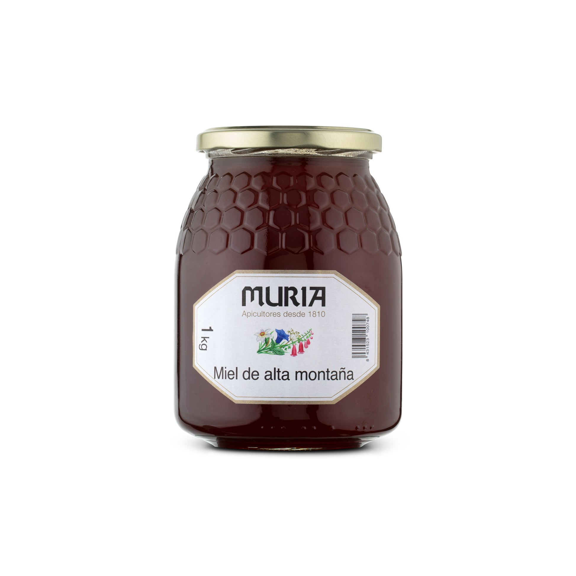 Miel De Montaña 1Kg