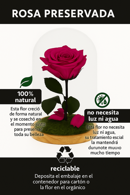 Mundo Eterno Rosa En Cúpula Fucsia 12x20cm_4