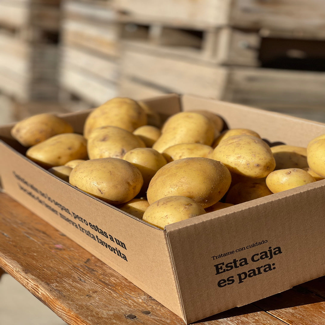 Caja de Patatas Blancas Spunta 9KG_1