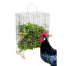 Cesta Para Hierba - Forrajera Para Aves De Corral - Comedero Antiestrés Para Gallinas - Acero Galvanizado