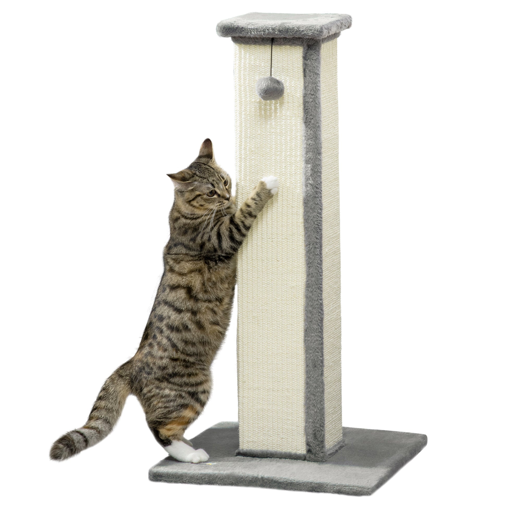 Pawhut Poste Rascador Para Gatos Altura 81 Cm Con Poste De Sisal Y Bola Colgante_0