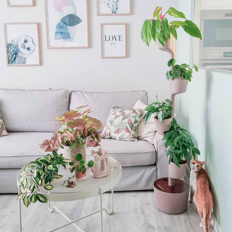 Macetero Vertical Citysens Con Riego Inteligente De 4 Macetas Color Corteza De Pino, Con 4 Plantas De Regalo_1