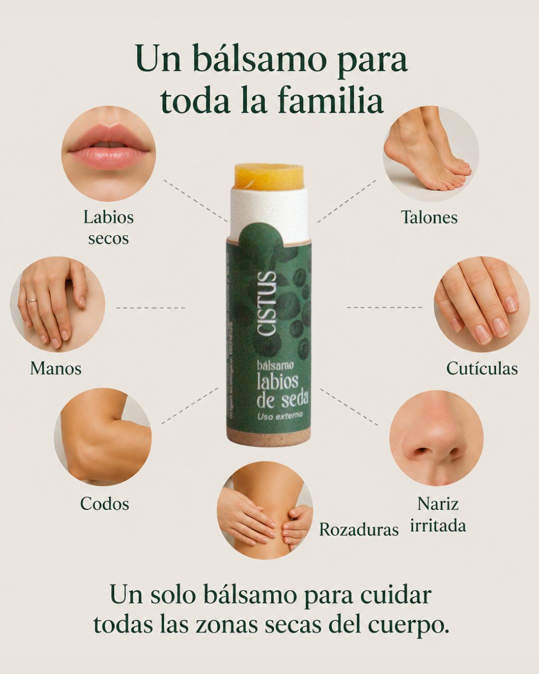 Bálsamo reparador multifunción Caléndula y Karité, labios secos, codos, talones y piel seca e irritada | SEDA 10 ml_3