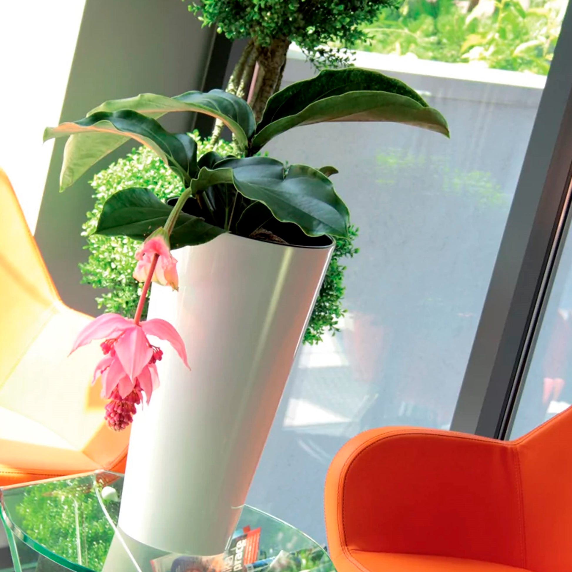 Maceta Brillo Tubus Slim 8l., Dimensiones (mm) 200x200x381, Color Blanco_5