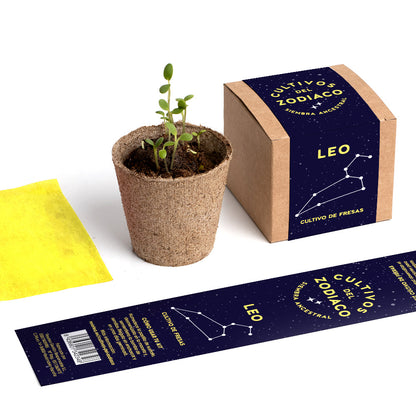 Cultivos Del Zodiaco – Leo | Kit De Cultivo Con Semillas De Fresa_4