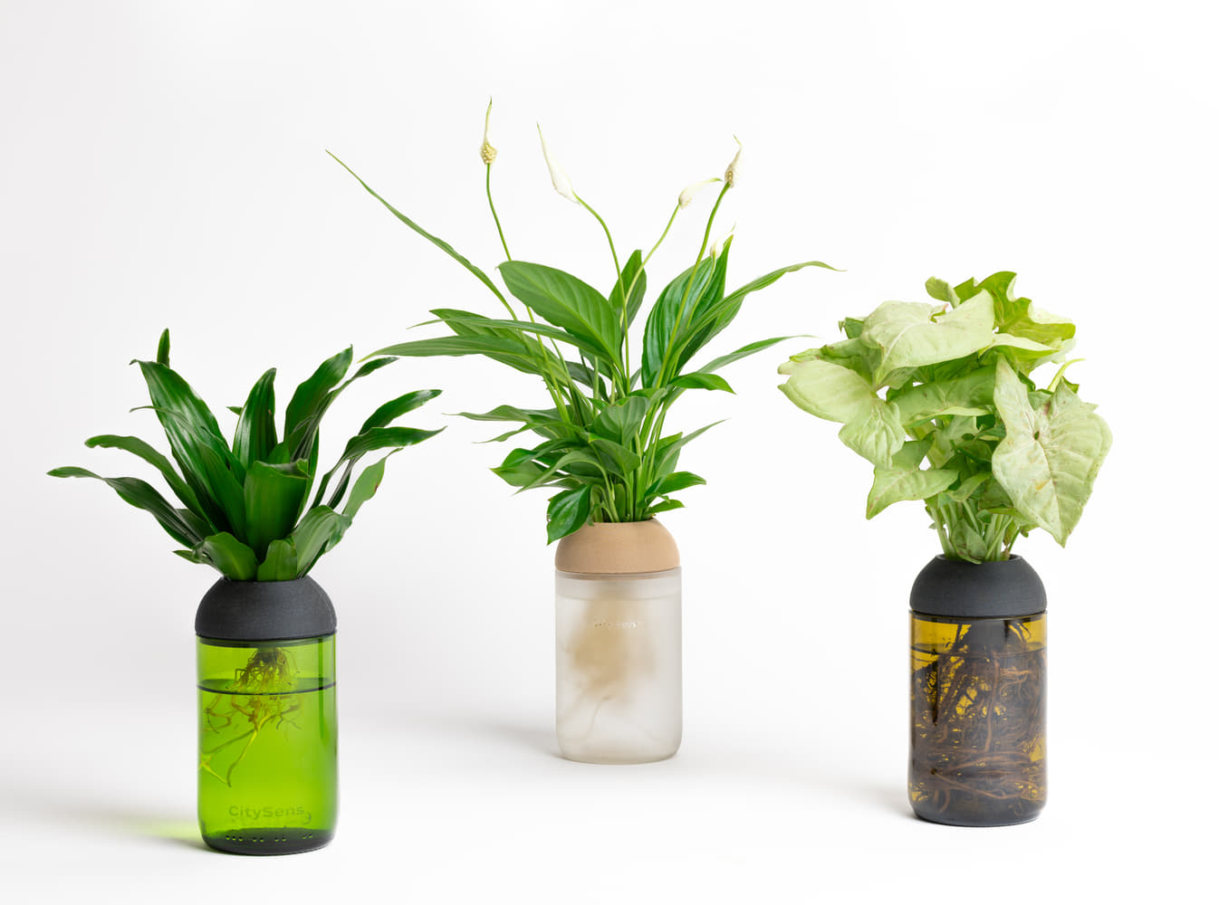 Macetero Transparente Citysens Con Soporte De Pino – Verde, Vidrio Reutilizado Y Biofilamento De Madera 3d