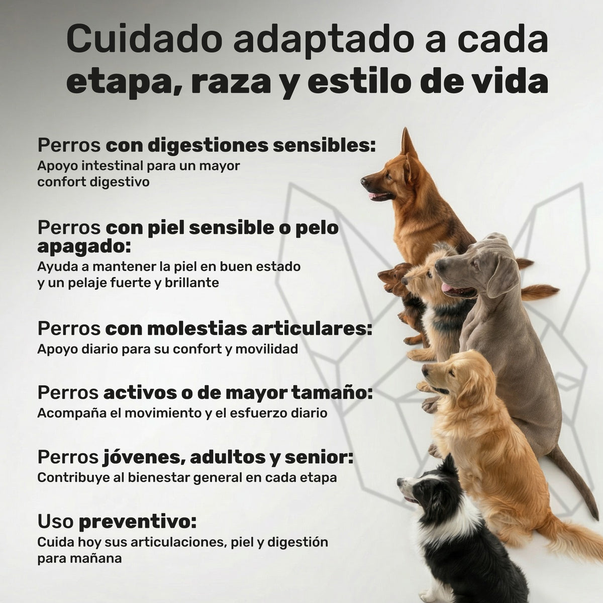 Pack Condroprotector + Probiótico + Aceite De Salmón Para Perros. Suplementos Mascotas. 360 Masticables. Natuva Pets_5