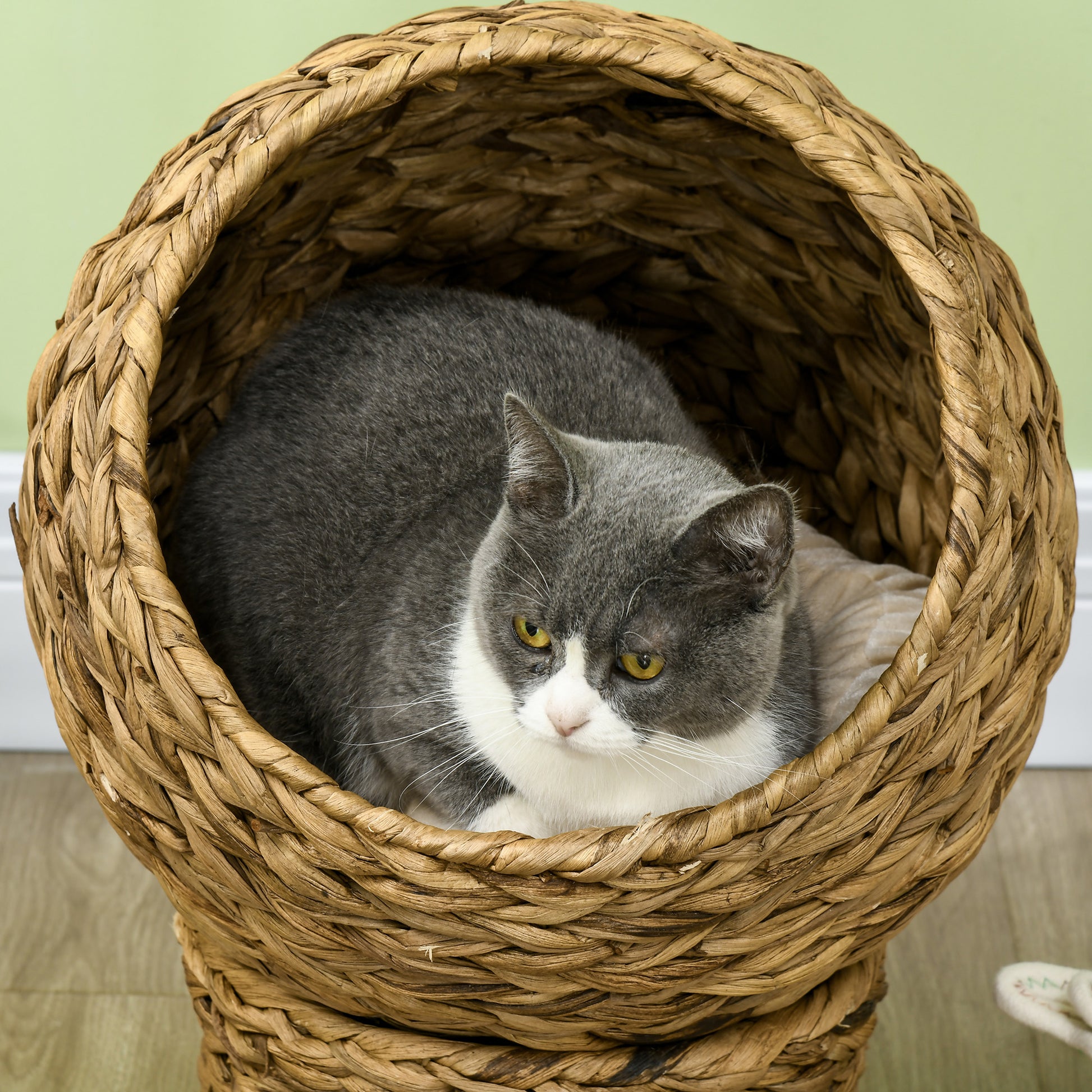 Pawhut Cama Para Gatos Desmontable Con Cojín Extraíble Suave Cálido 40x37x51 Cm_3