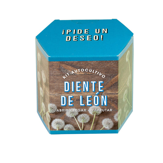 Kit Autocultivo Diente de León Cultiva Flores Amarillas en Casa | Regalo Educativo - Resetea_0