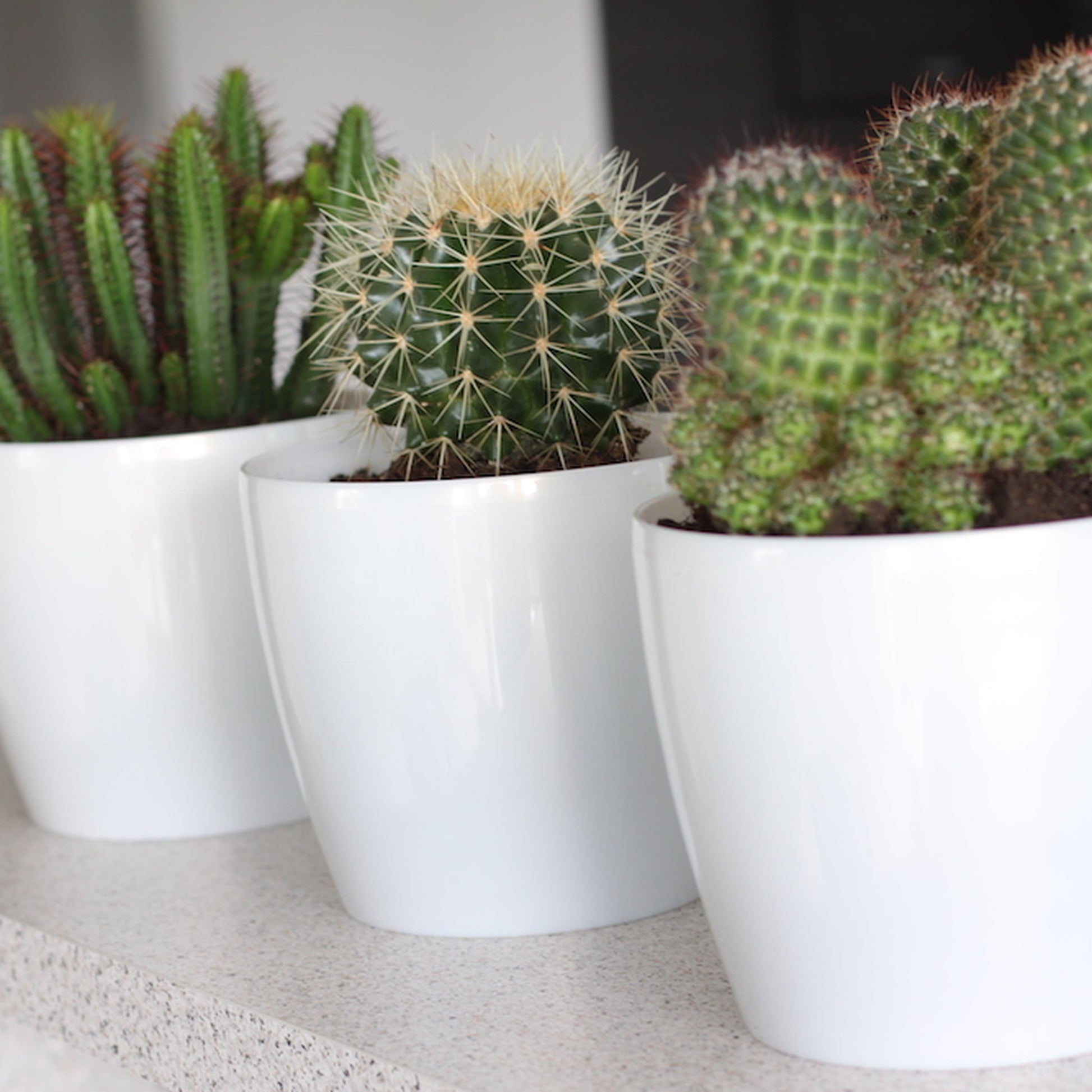 Macetero Magnolia 360 Gris_2