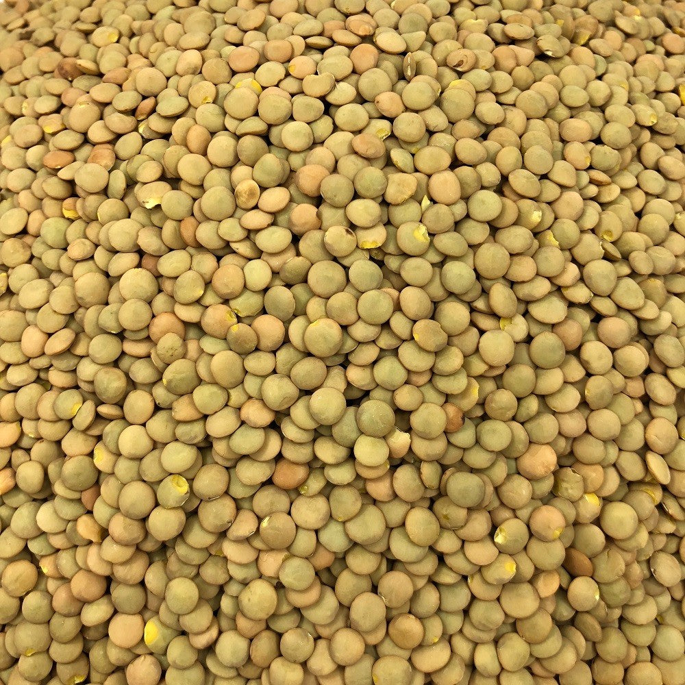 Lenteja Rubia Ecológica Granel 10 Kg_2