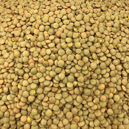 Lenteja Rubia Ecológica Granel 10 Kg_2