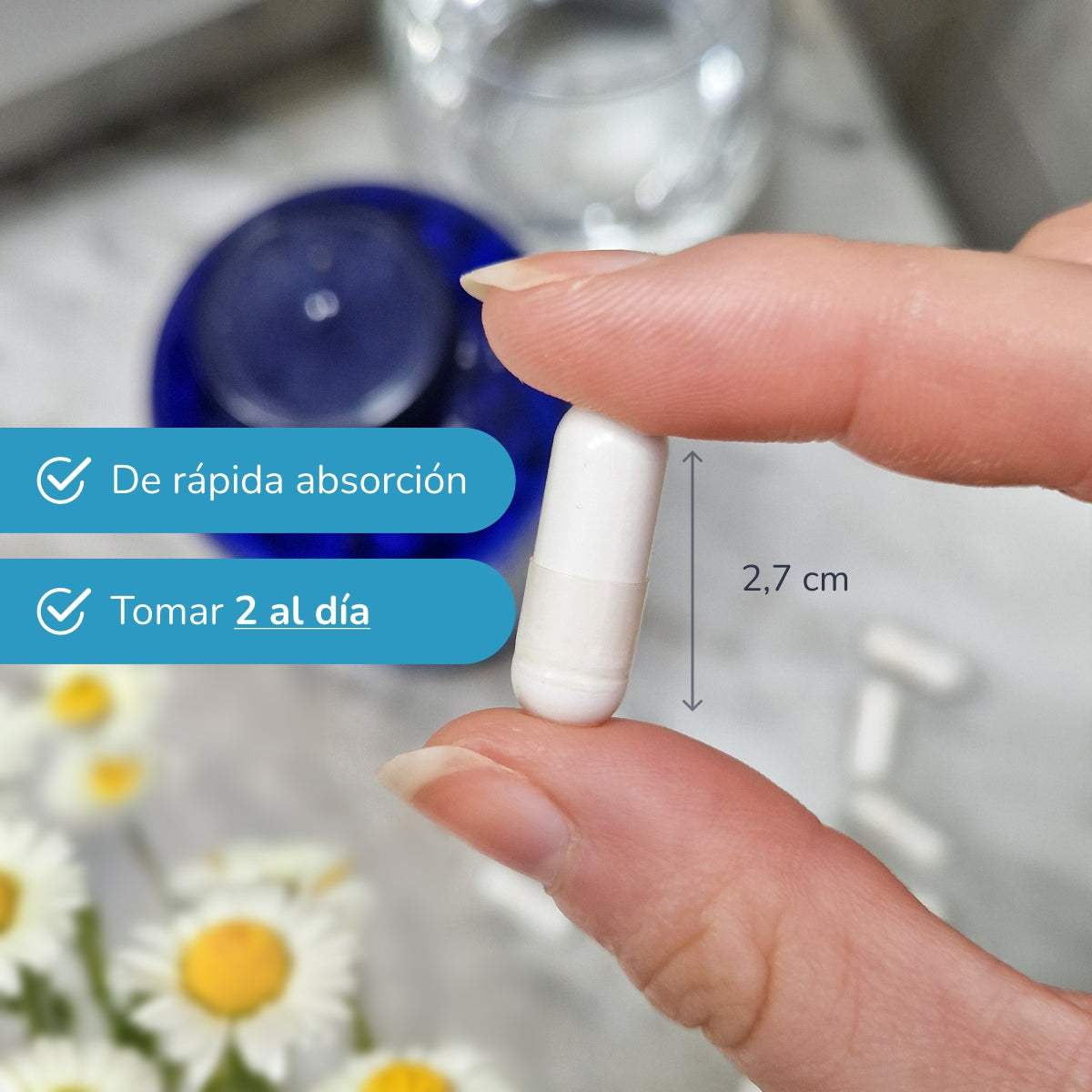 Bisglicinato de Magnesio 500 mg Planeta Huerto 90 cápsulas