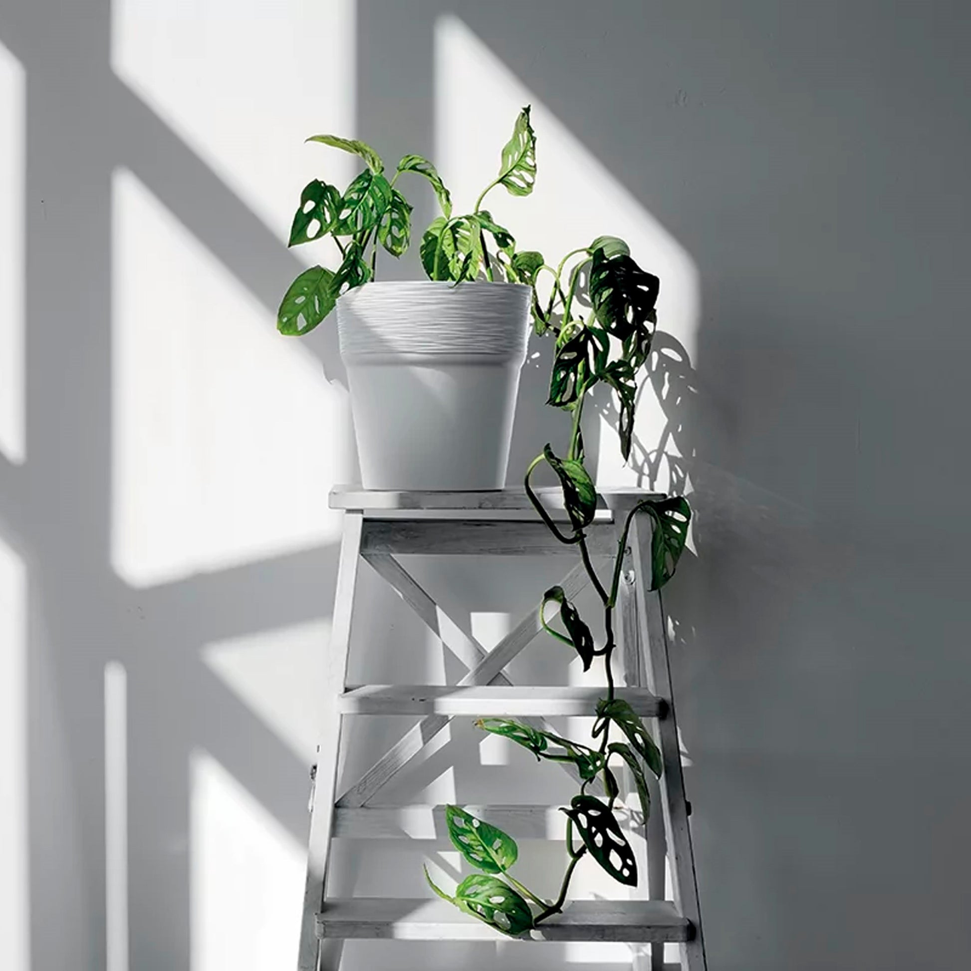 Maceta Furu , Dimensiones (mm) 122x122x122, Color Blanco_3