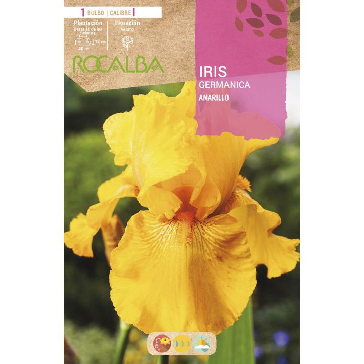 Bulbo Iris Germánica Amarillo 1 unidad (I)