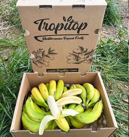Caja De Plátanos De Canarias Tropitop Caja De 9kg_1