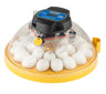Brinsea Maxi 24 Advance - Incubadora Para Huevos De Diferentes Especies De Ave - Con Volteo Automático
