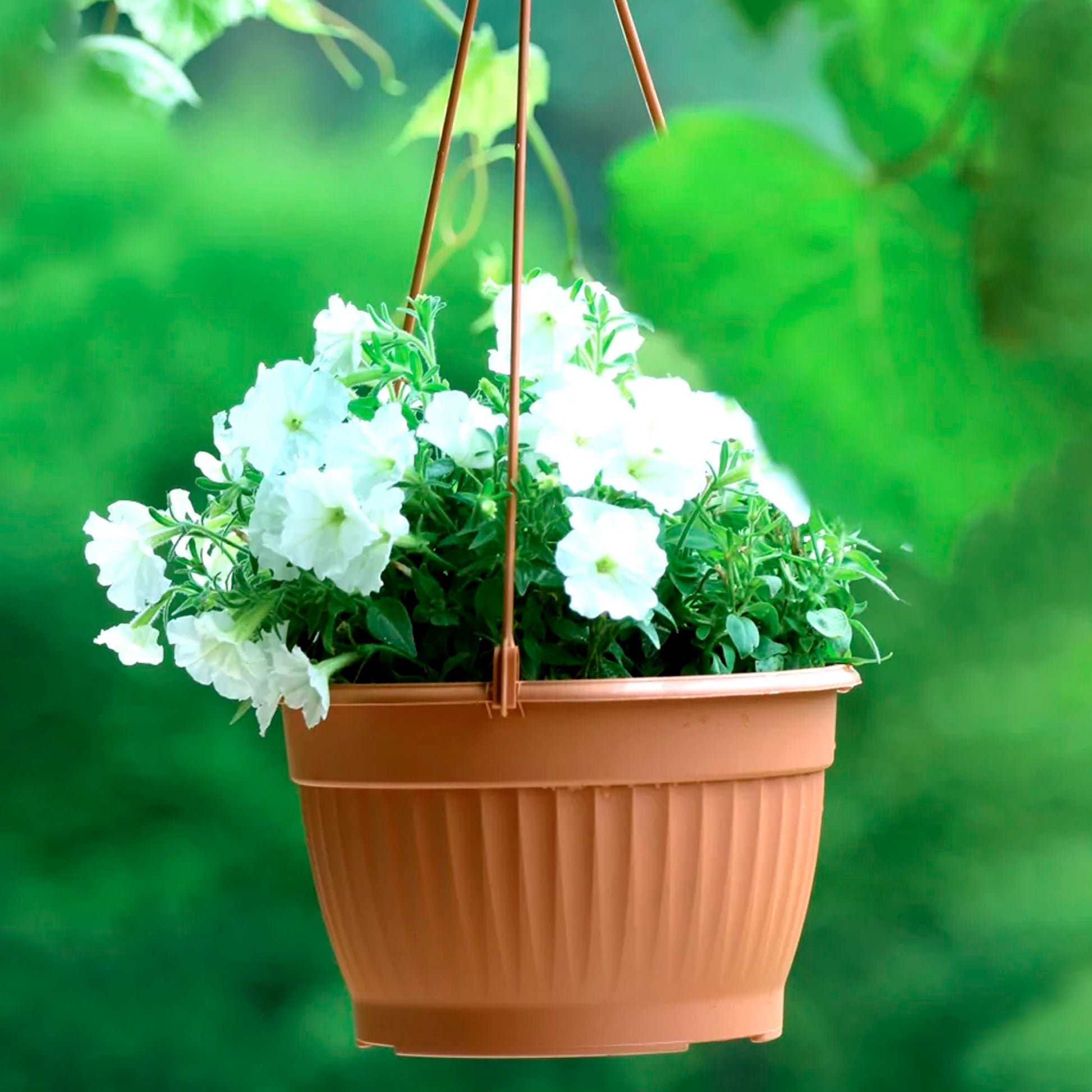 Macetero Colgante Terra 6l., Dimensiones (mm) 260x260x160, Color Terracota_4