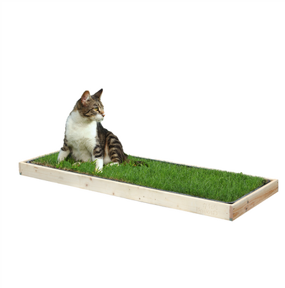 Petground, Cama Para Gatos, Caja De Madera, Accesorio, Mueble S: 69 X 45 Cm_0