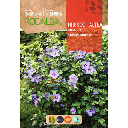 Semillas de Hibisco Hibiscus syriacus