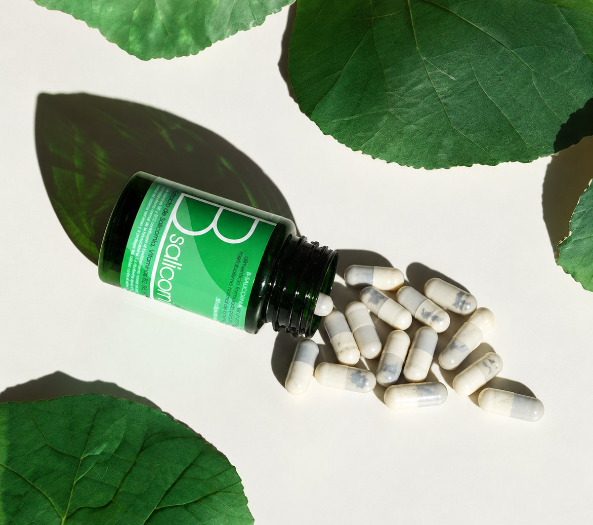 B-salicornia – Extracto Natural De Salicornia Con Vitaminas Del Grupo B_0