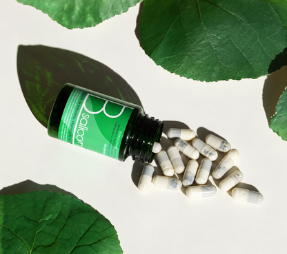 B-salicornia – Extracto Natural De Salicornia Con Vitaminas Del Grupo B_0