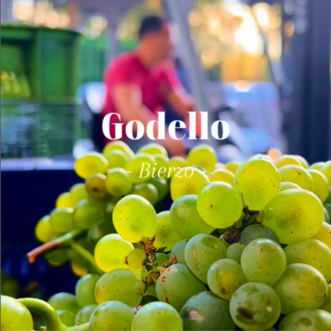 Pago De Los Abuelos Barreiros - Godello 2023_1