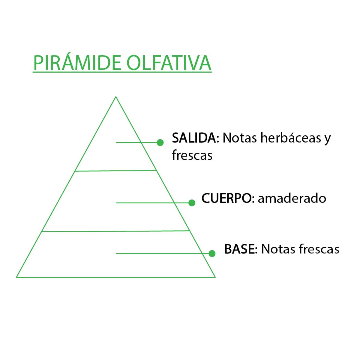 Esencia Natural Árbol de Té SYS Aromas 12 ml | Aroma Fresco y Herbal | Para Quemadores y Humidificadores_2
