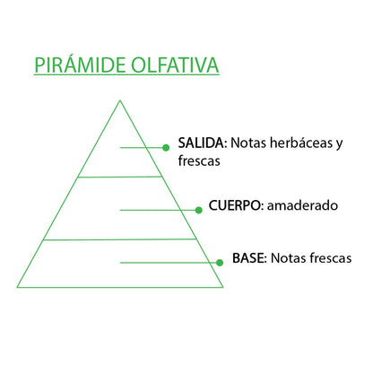 Esencia Natural Árbol de Té SYS Aromas 12 ml | Aroma Fresco y Herbal | Para Quemadores y Humidificadores_2