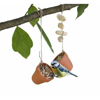 Juego Aprende con las aves National Geographic