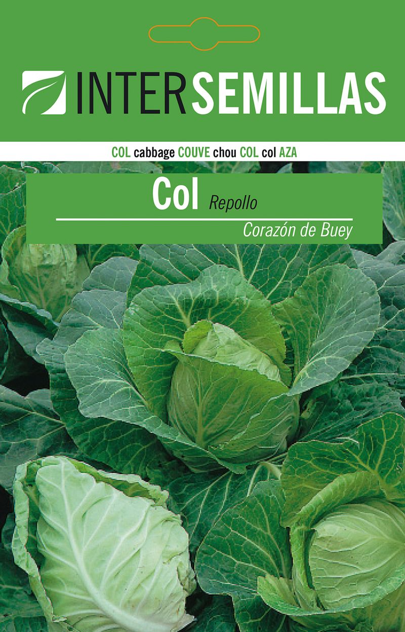 Sobre De Semillas Col Repollo Corazon Buey