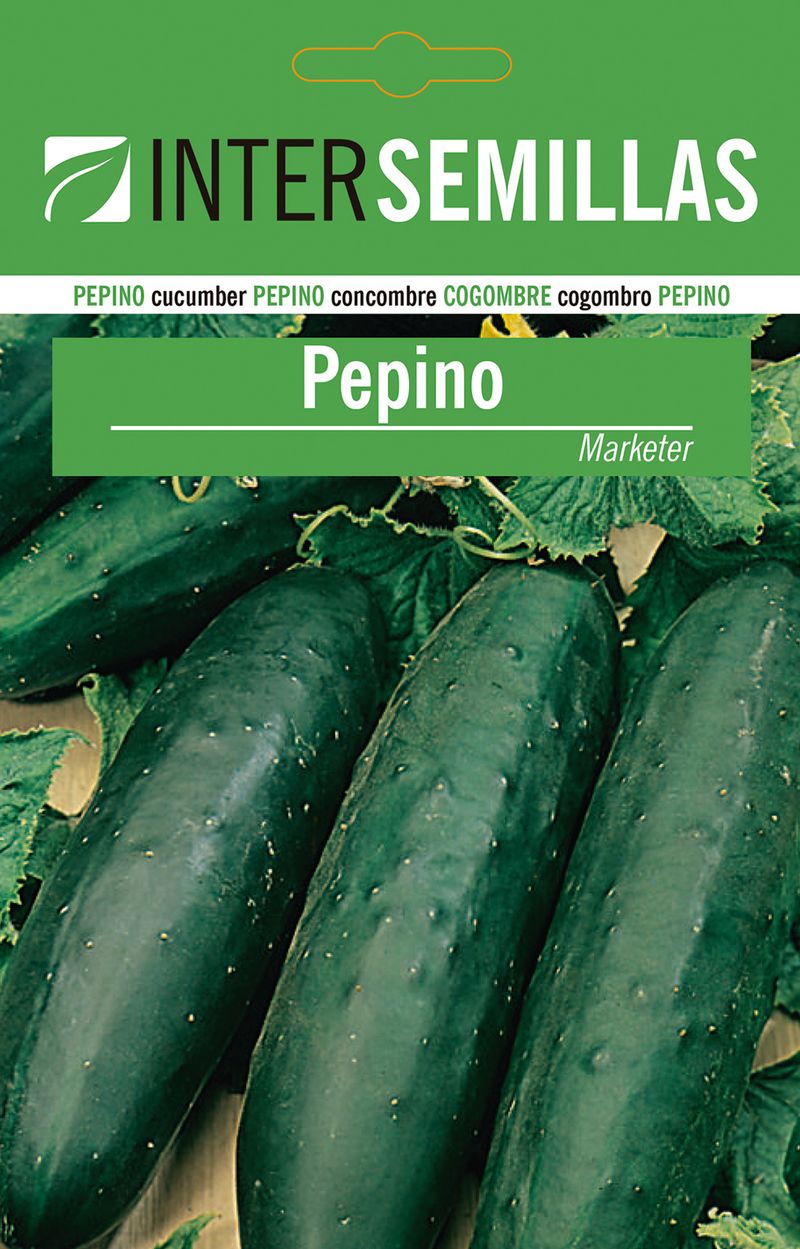 Sobre De Semillas De Pepino Marketer
