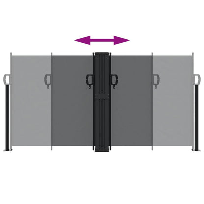 Vidaxl Toldo Lateral Retráctil Negro 120x600 Cm_4