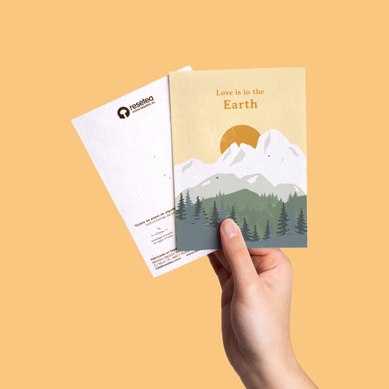 Postal Plantable Love Is In The Earth Con Semillas De Manzanilla – Regalo Romántico Que Florece | Resetea_3