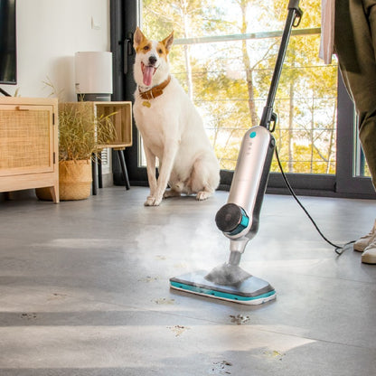 Cecotec Vaporeta Vertical Hydrosteam 3030 Active_2