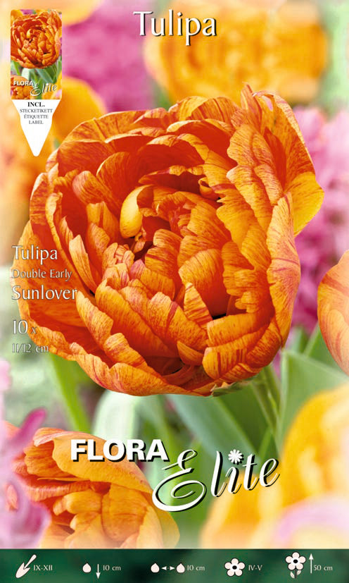 Bulbos Tulipán doble naranja 10 uds