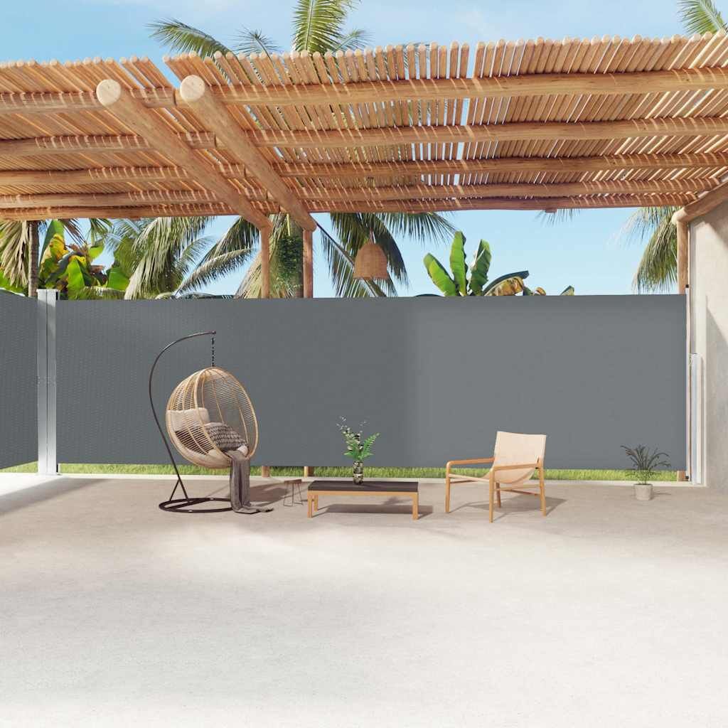 Vidaxl Toldo Lateral Retráctil Antracita 220x1200 Cm_1