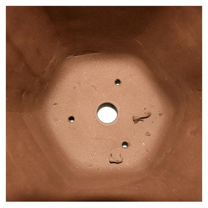 Tiesto cascada grande Asakusa