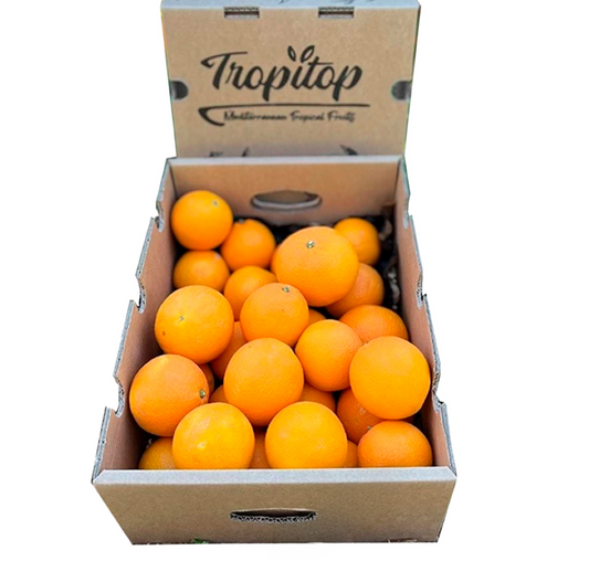 Caja De Naranjas Valencianas Frescas Tropitop 15kg_0