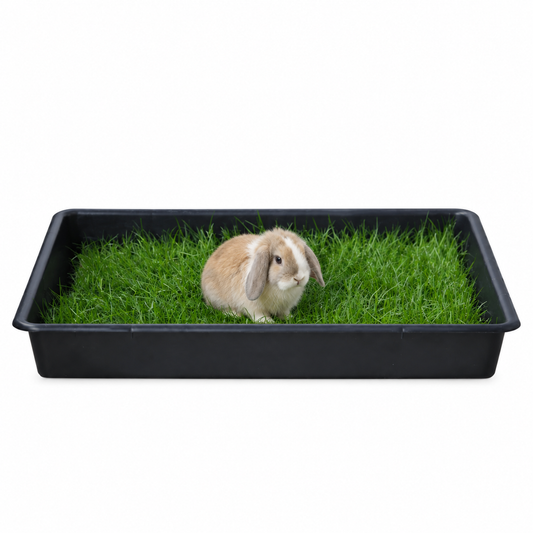Petground, Parque Para Conejos, Casa De Césped Natural Xxl: 80 X 80 Cm_0