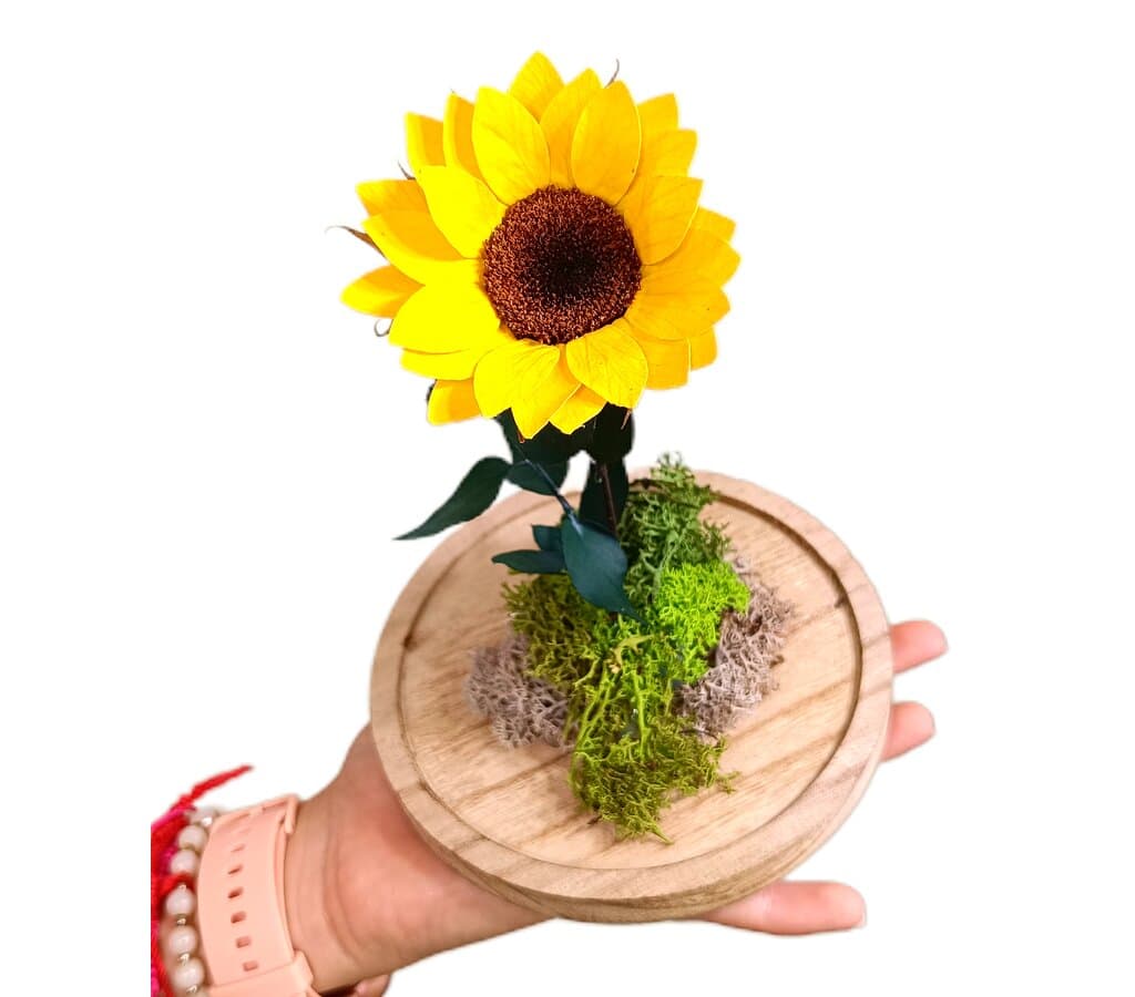 Mundo Eterno Girasol En Cúpula 12x20cm_2