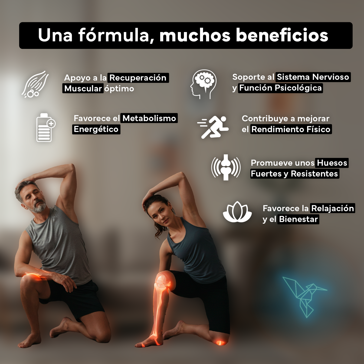 Magnesio (bisglicinato, Citrato, Taurato Y Malato). Sevens Nutrition. Energía, Rendimiento Y Descanso