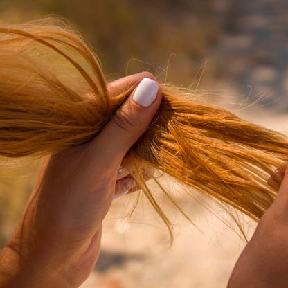 Pack 2 Champú Sólido Cabello Seco o quebradizo - 100% Natural - Previene Puntas Abiertas - Hecho En España_1