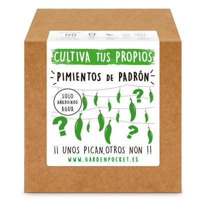 Kit de autocultivo Pimientos de Padrón Planeta Huerto