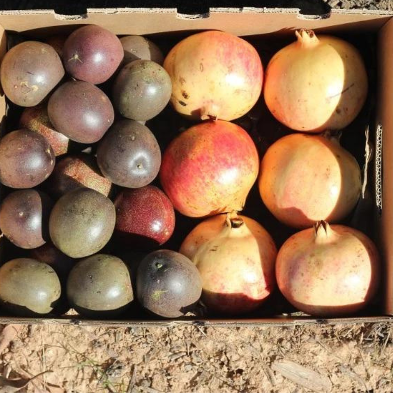 Pack 4kg Maracuyá Y Granadas - 2kg De Cada Fruta_3