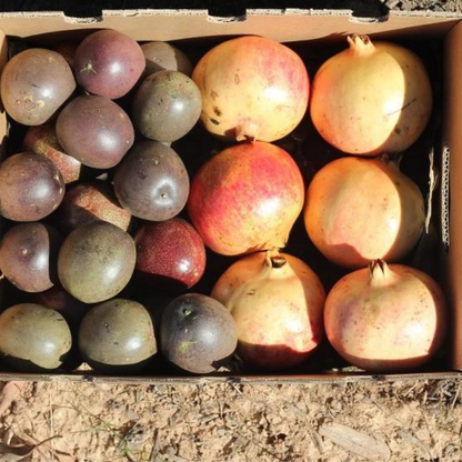 Pack 4kg Maracuyá Y Granadas - 2kg De Cada Fruta_3