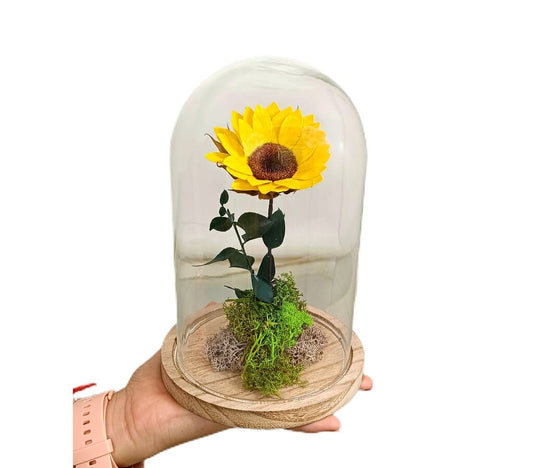 Mundo Eterno Girasol En Cúpula 12x20cm_0