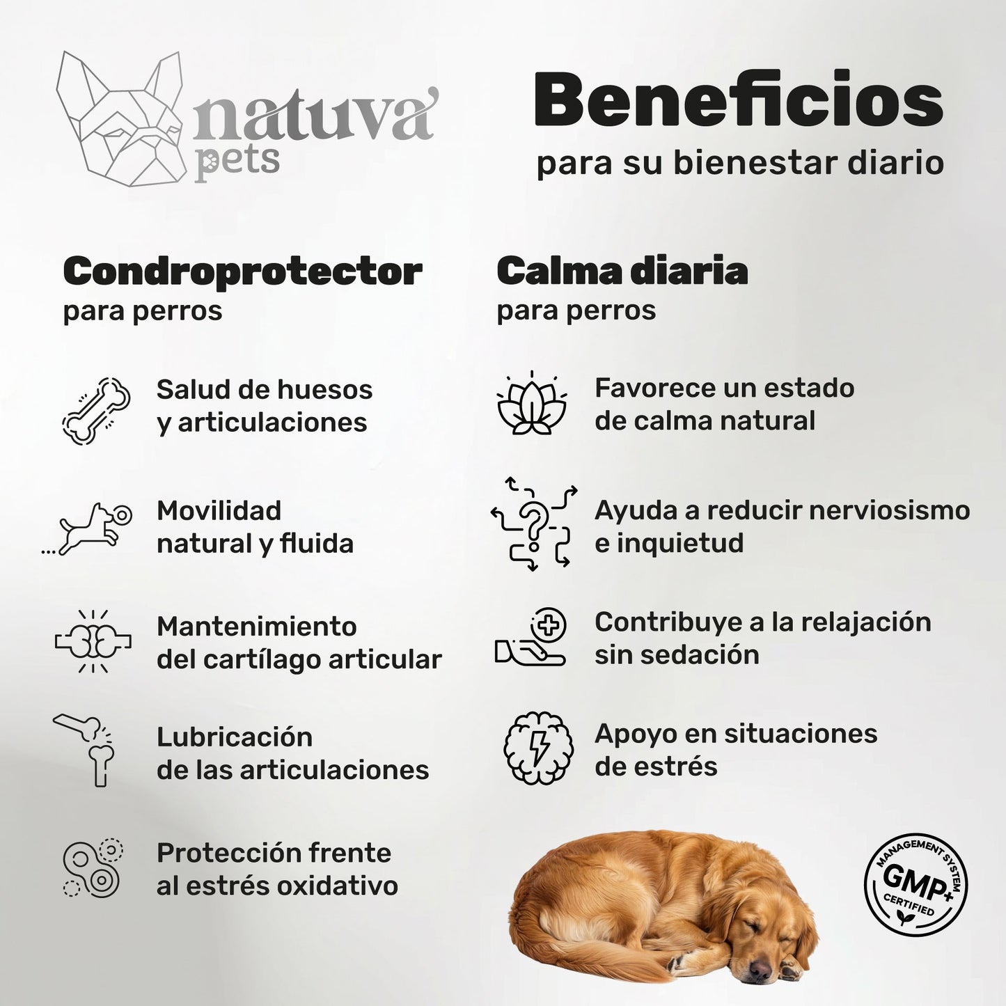 Pack Condroprotector + Calmante Para Perros. Movilidad Y Calma. Suplementos Mascotas. 240 Masticables. Natuva Pets_1